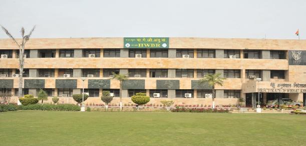 Directorate Of Wheat Research